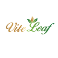 Vite Leaf Logo
