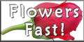 Flowers Fast.Com-Send Flowers Same Day Delivery Logo