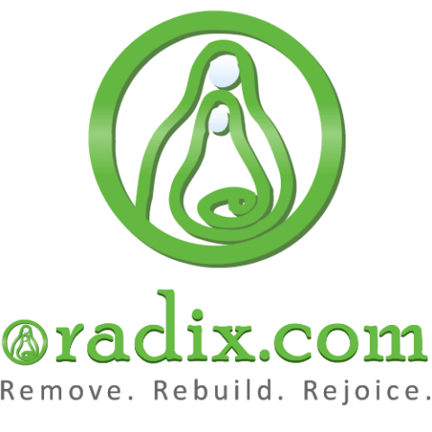 Oradix Inc. Logo