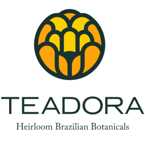 Teadora Inc Logo