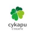 Cykapu Inc. Logo