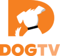 Dogtv Logo