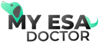 Myesadoctor Logo