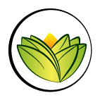 The Ayurveda Experience Uk Logo