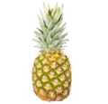 Maui Pineapple Store CA Logo