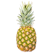 Maui Pineapple Tour Logo