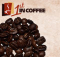 1st in Coffee Logo