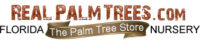 Real Palm Trees Logo